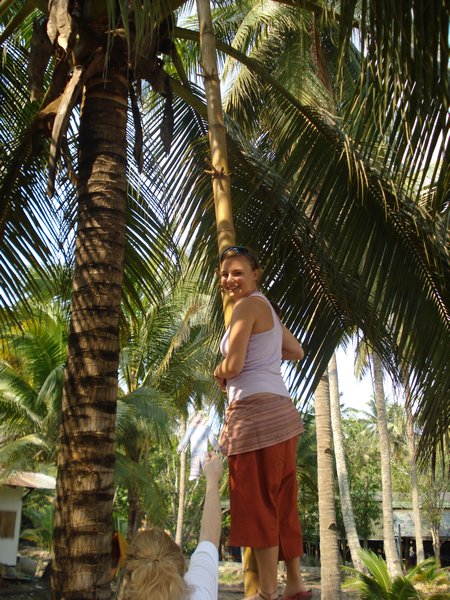 Climbing the coconut trees