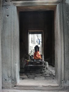 Temple Beauty