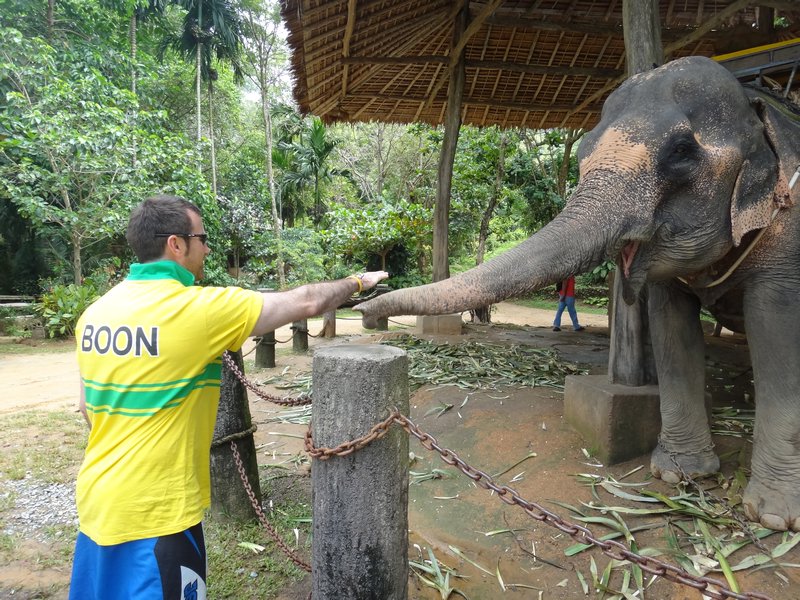 Feeding the Elephant at Kok Chang