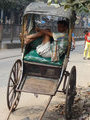 Rickshaw Life