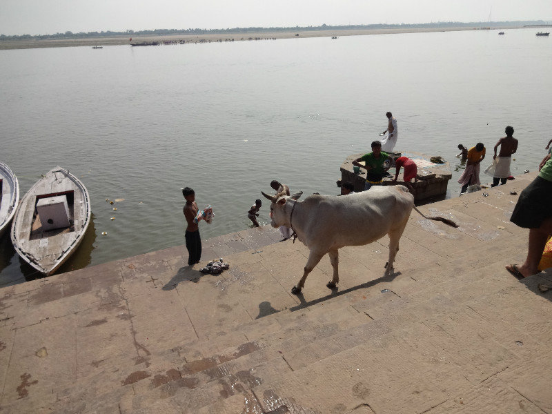 A typical scene along the Ghats