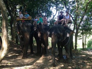 The elephant ride (never again!)