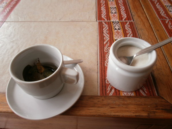 Some coca (a la cocaine) tea 