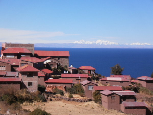 The natural island communities, and Bolivian mountains in the distance..
