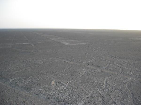 View of one of the Nazca Lines