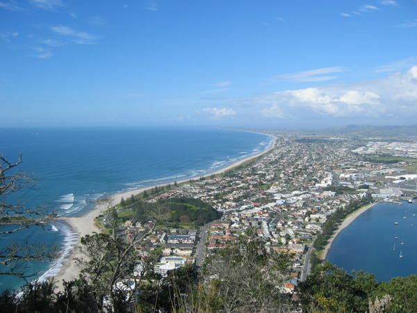 View from the top of MT Maunganui, Tauranga.
