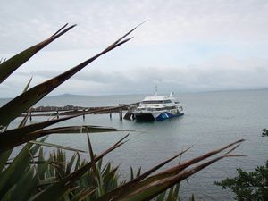 Ferry to Tiri Tiri Matangi