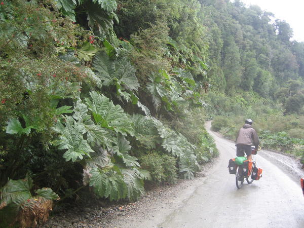 Another rainy day on the Carretera!