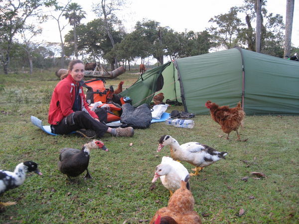 Camping on the farm !