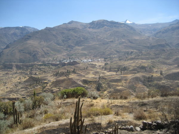 Vista en haut du Cañon