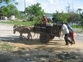 Transport in the villages