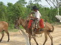 Cowboy dans le Pantanal