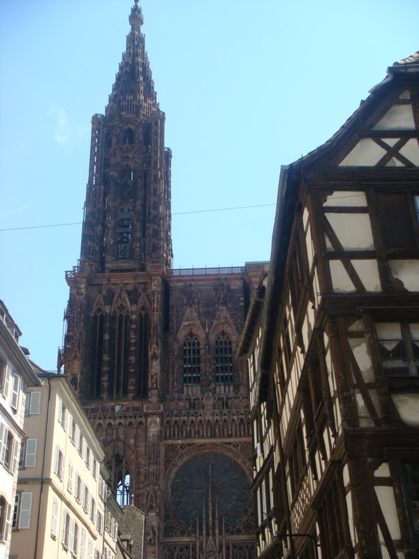 The gothic and very tall cathedral