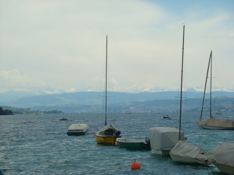 The Swiss Alps and Lake Zurich