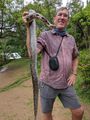 Getting to know a Madagacan Ground Boa at the chameleon reserve