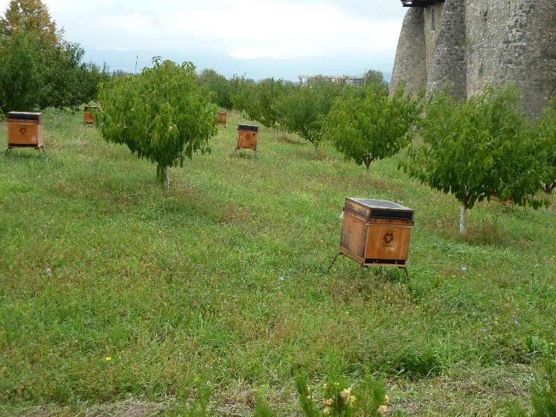 Bee hives at Alaverdi Cathedral