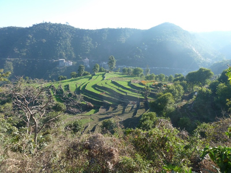Rice paddies in valley as we start the long walk home