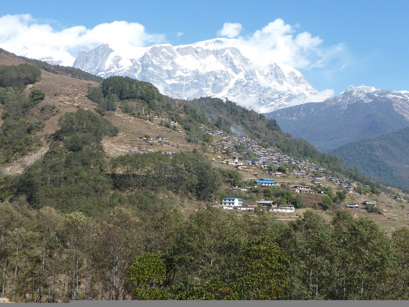 Sikles perched on the hillside at 2100m with the Annapurna range above