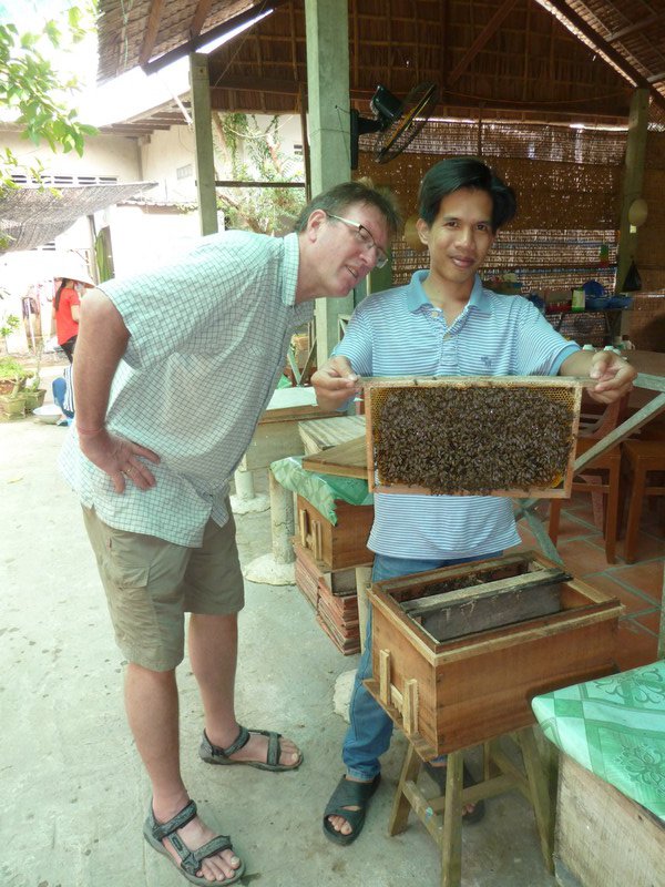 Inspecting a bee hive on the Meekong delta