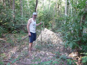 Rene examining an old termite mound in the jungle on Koh Rong Samloem