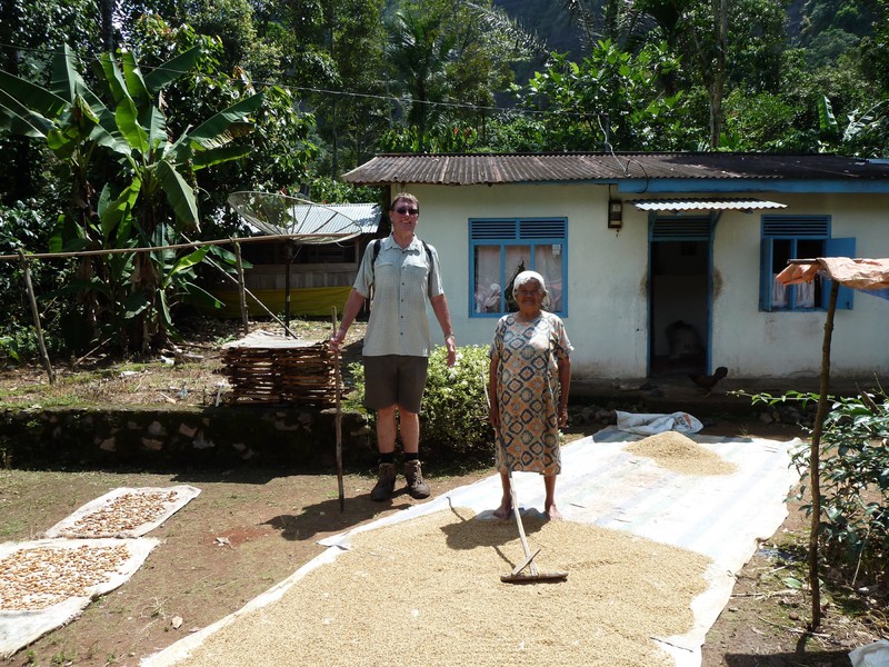 A lady turning rice drying in her courtyard