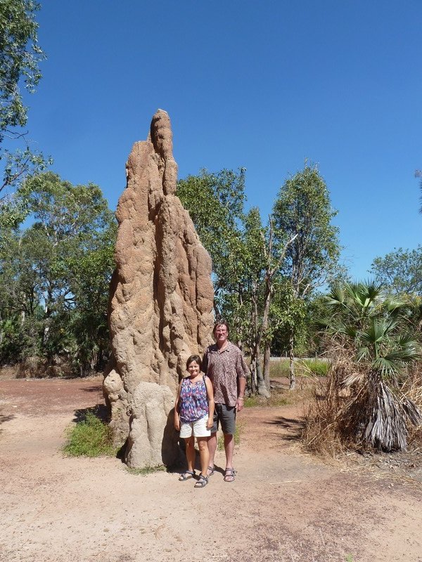This Cathedral termite mound is over 5 metres high