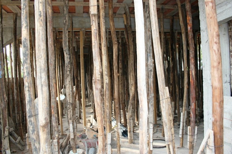 Bamboo supports