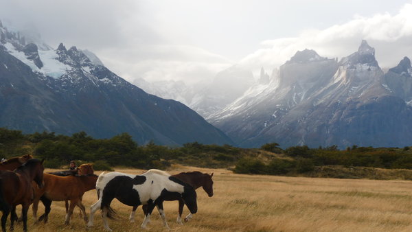 1. dags trekking i Torres del Paine