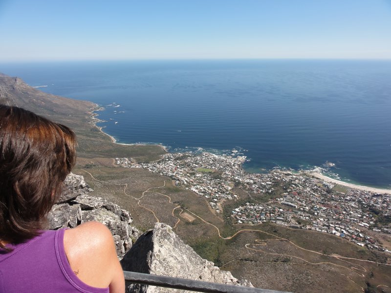 Camps Bay from Above