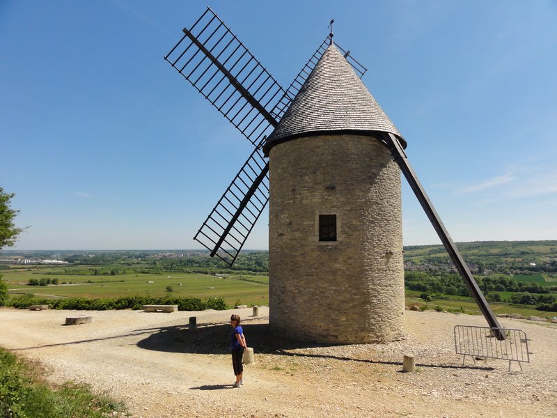 Vineyard Windmill
