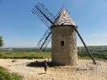 Vineyard Windmill