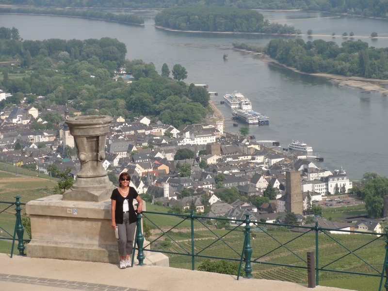 Rhine Valley Views