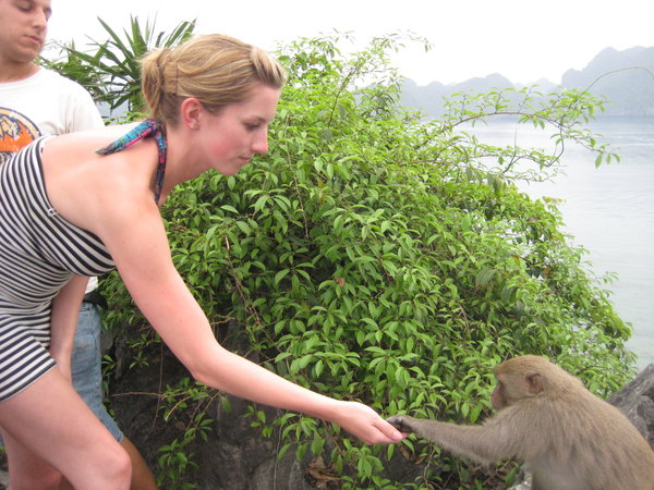 feeding the monkey