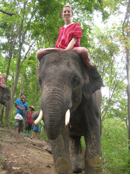heather on her elephant
