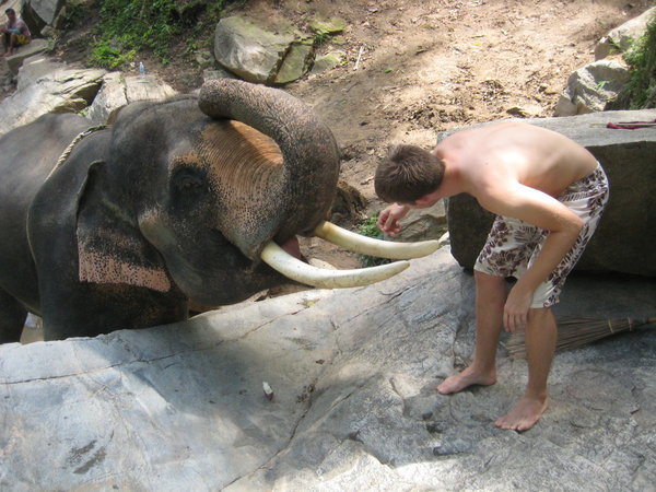 me feeding my elephant