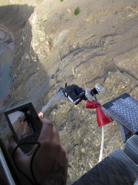 me jumping off the 134m bungy jump!