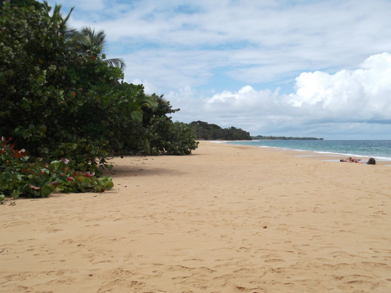 The seclusion of Bluff Beach (Bocas Del Toro; Panama)