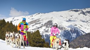 Husky dog sledding (Soldeu; Andorra)