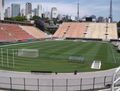 The municipal stadium (Sao Paulo; Brazil)