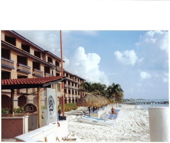 Hotel's beachfront
