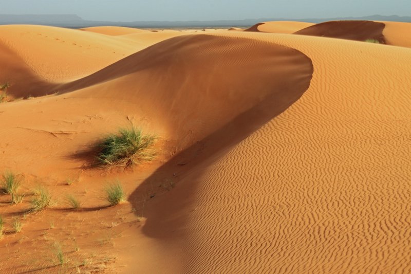 Algeria beyond the Dunes