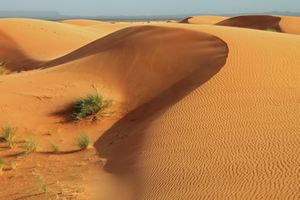 Algeria beyond the Dunes