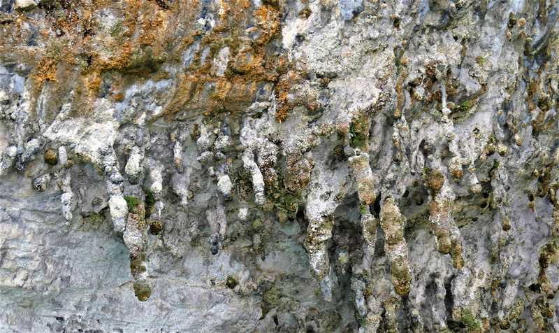 Grot met stalagtieten
