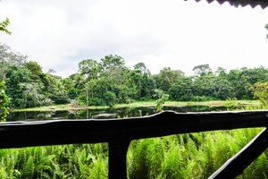Uitzicht vanaf het balkon van bungalow "Abeja"