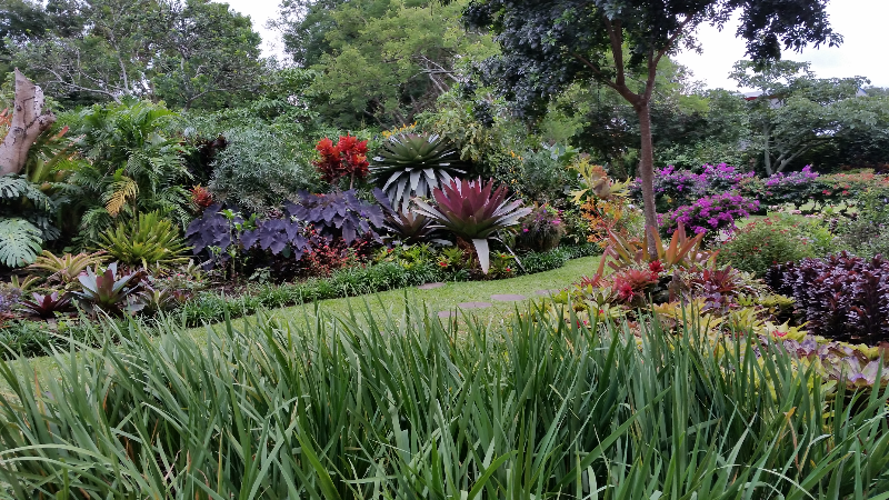 Tuin van hotel Bougainvillea