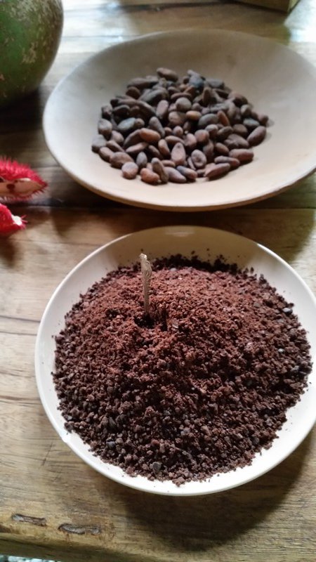 Cacaobonen en gemalen cacao