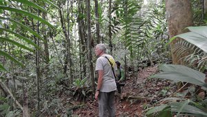 Hike door het regenwoud van Maquenque
