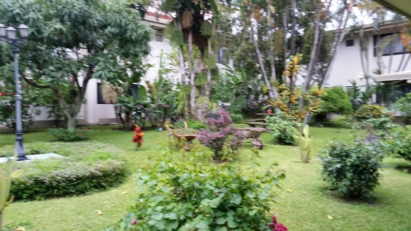 Stuk tuin van Wyndham hotel San José