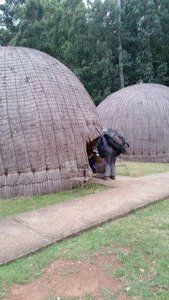 Onze beehive in Swaziland