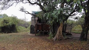 Onze safaritent verscholen achter een boom